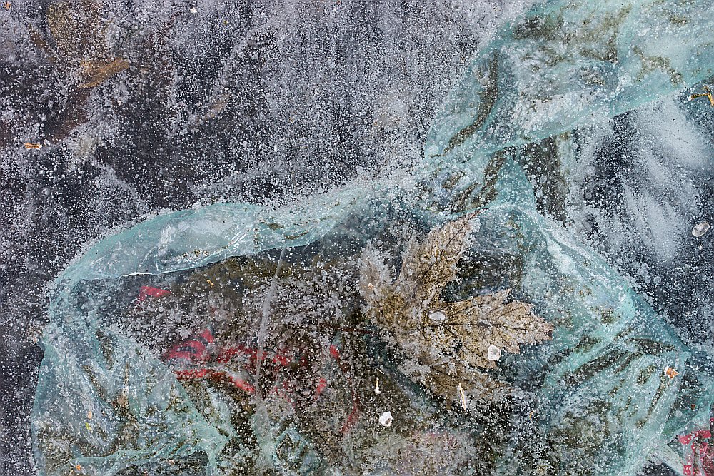 frozen ice green plastic bag